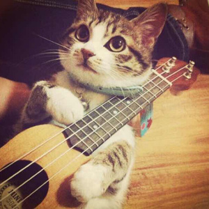 运维个性小狼导航
