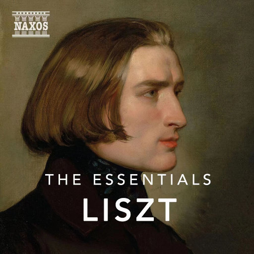 运维个性小狼导航
